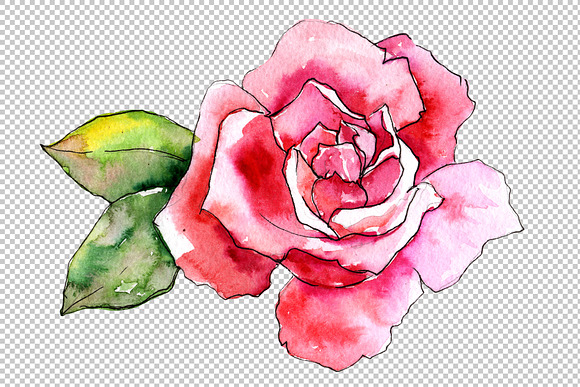 Wildflower pink rose PNG watercolor  in Illustrations - product preview 3
