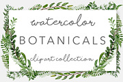 Wild Watercolor Greenery Clipart