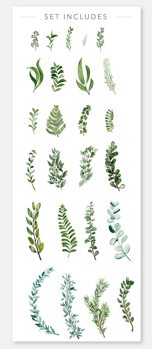 Wild Watercolor Greenery Clipart in Illustrations - product preview 2