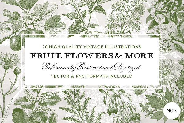 70 Flower & Fruit Illustrations No.3