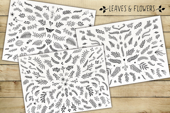 Big Collection of Floral Elements in Illustrations - product preview 1