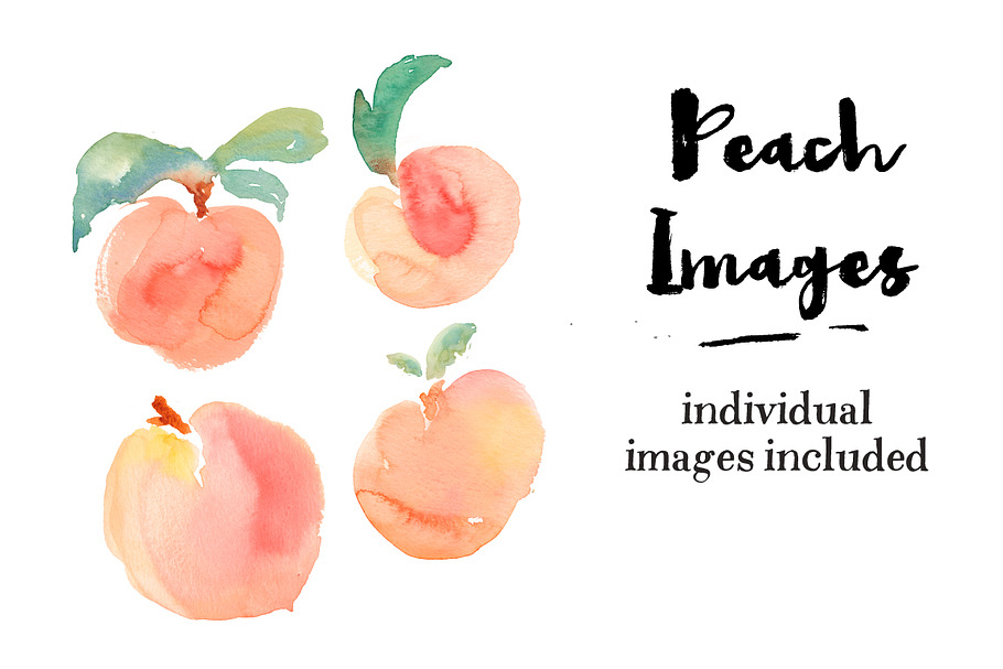 Watercolor Peach Patterns + Peaches in Illustrations - product preview 8