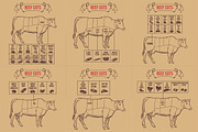 Vintage butcher cuts of beef scheme