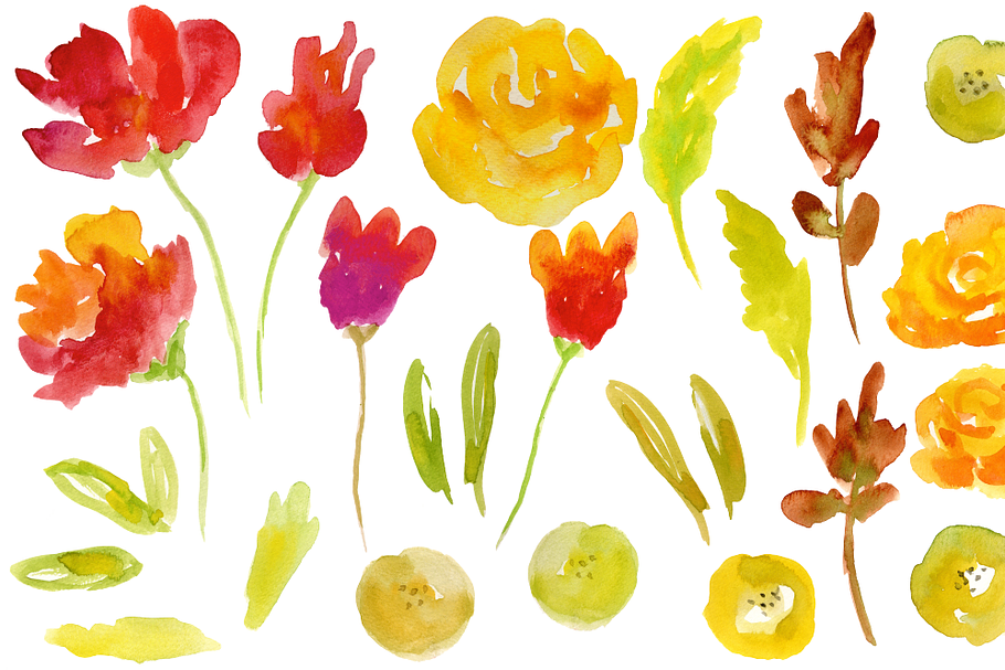Watercolor Floral Elements - Rose in Illustrations - product preview 8