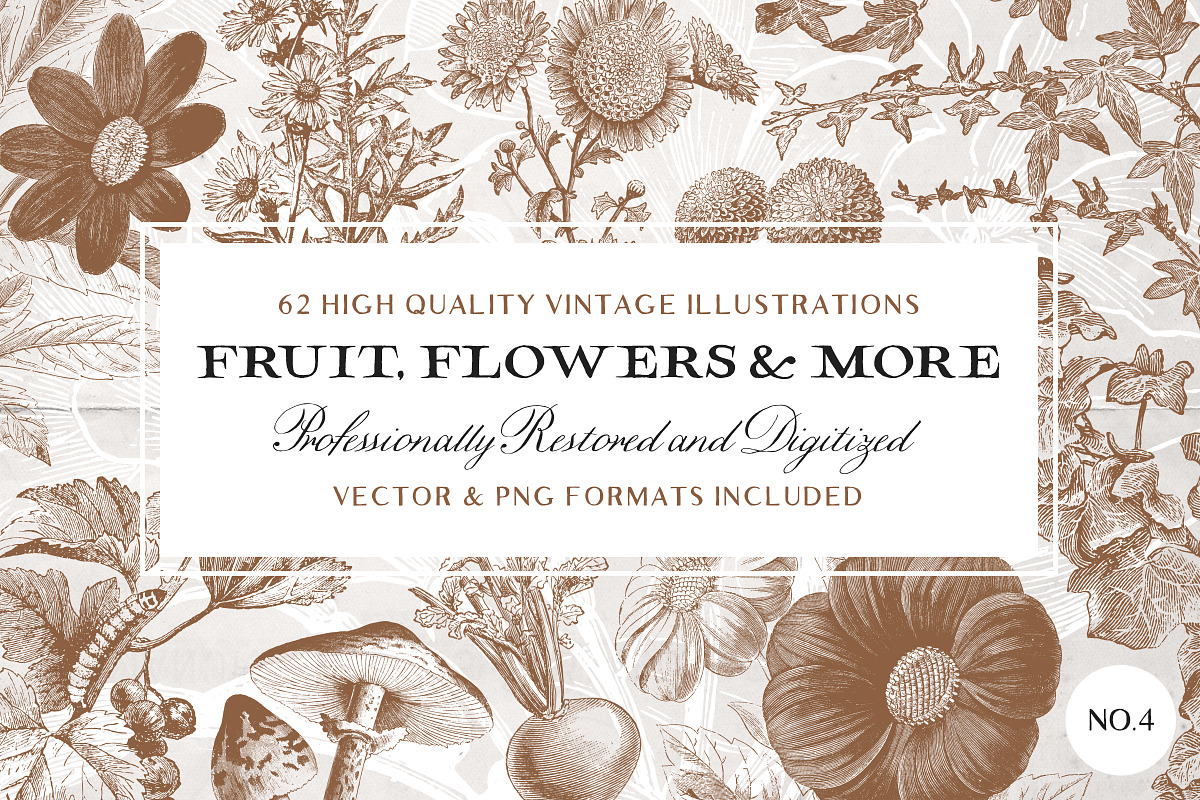 62 Fruit, Flowers & More No.4 in Illustrations - product preview 8