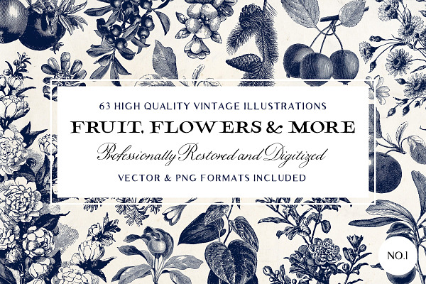63 Fruit & Flower Illustrations No.1