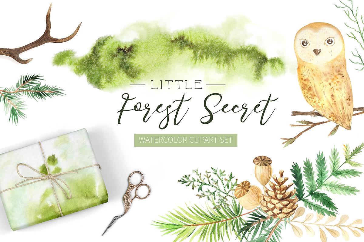 Watercolor Forest Graphic Set in Illustrations - product preview 8