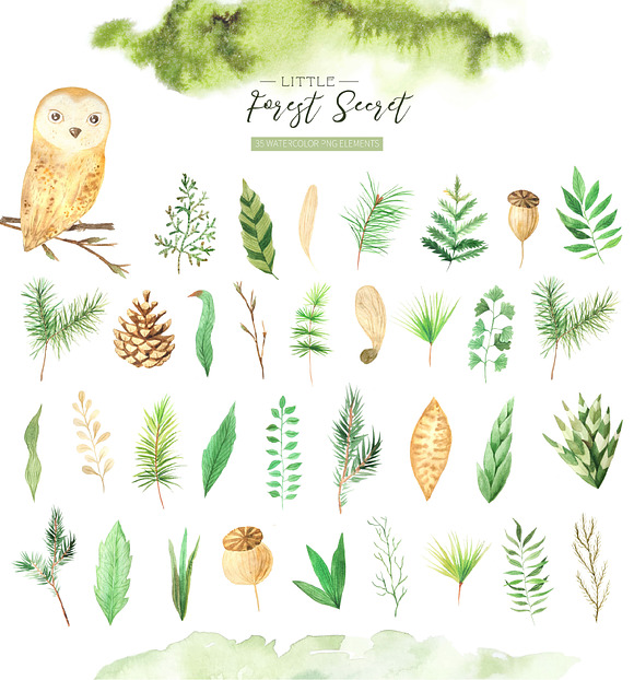 Watercolor Forest Graphic Set in Illustrations - product preview 1