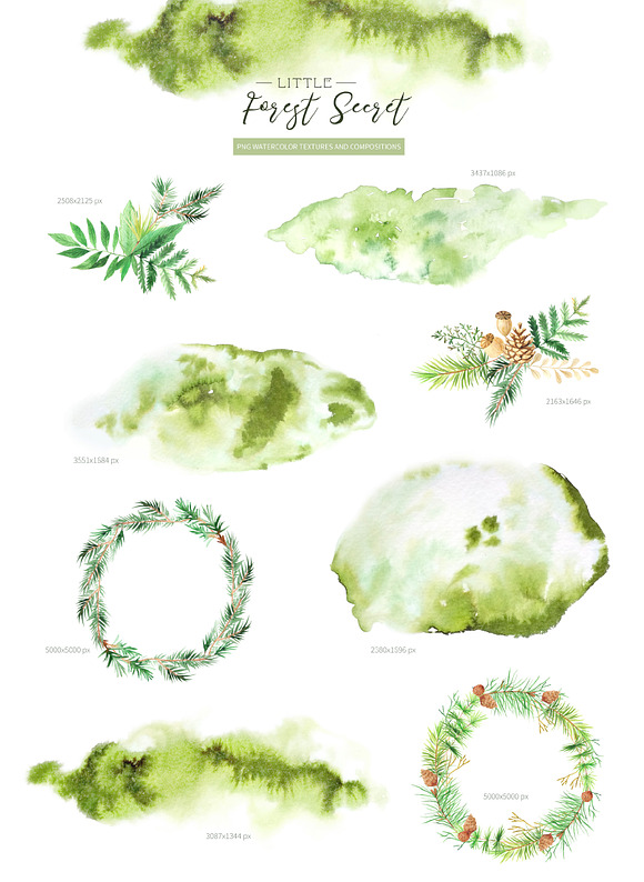 Watercolor Forest Graphic Set in Illustrations - product preview 2