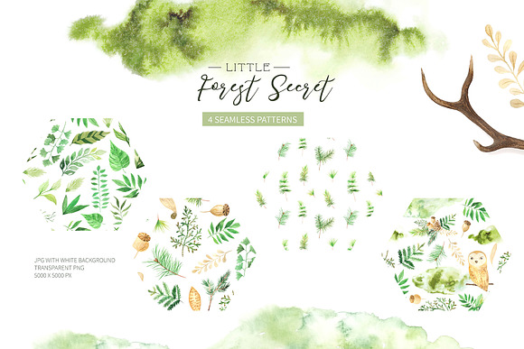 Watercolor Forest Graphic Set in Illustrations - product preview 3