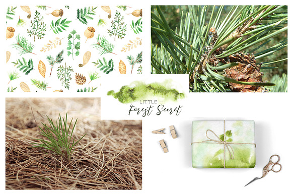 Watercolor Forest Graphic Set in Illustrations - product preview 6