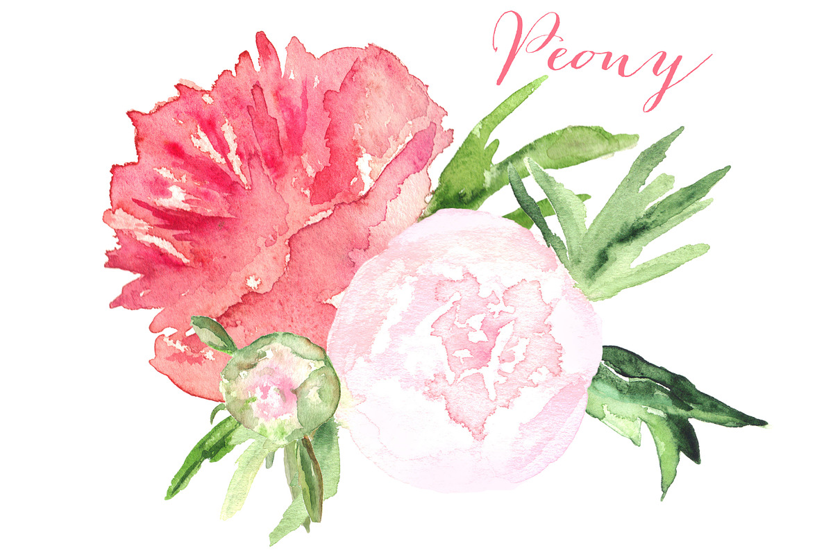 Peony watercolor clip art in Graphics - product preview 8