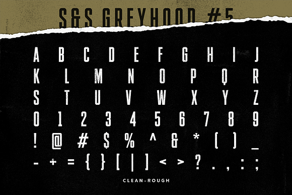 S&S GreyHood Font Bundles (30%Off) in Tattoo Fonts - product preview 12