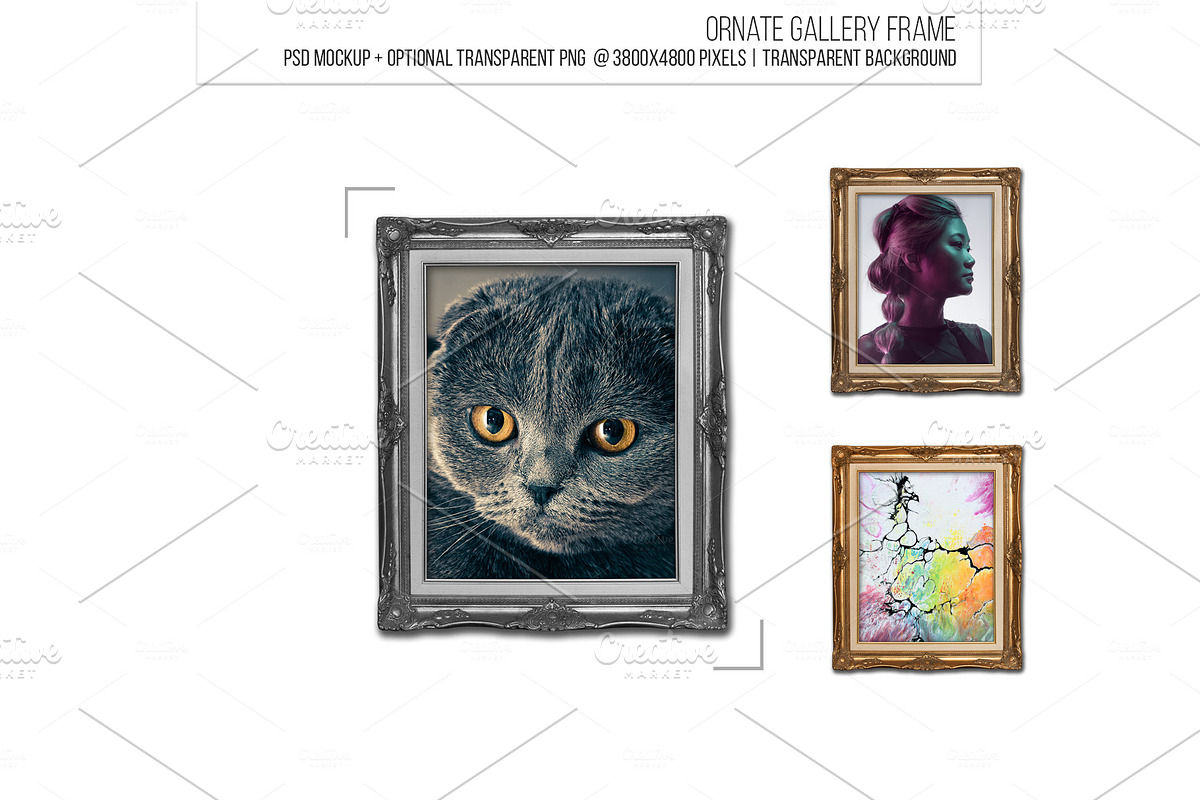 Ornate gallery museum frame. in Templates - product preview 8
