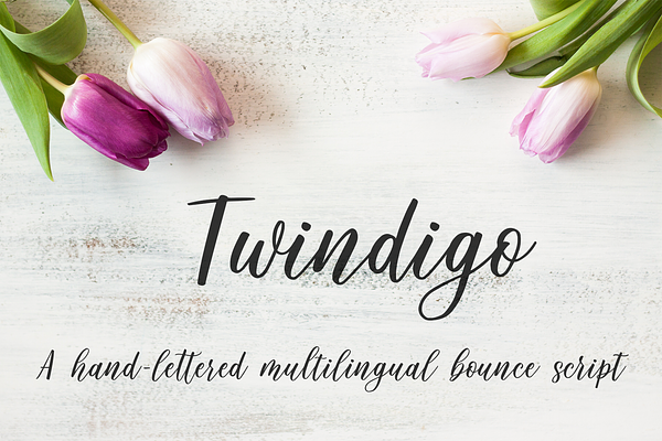 Twindigo Script Font