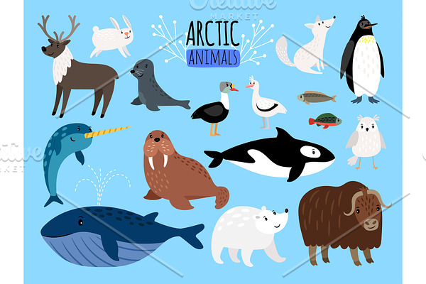 Arctic animals. Cute animal set of Arctic or Alaska vector illustration for education, penguin and polar bear