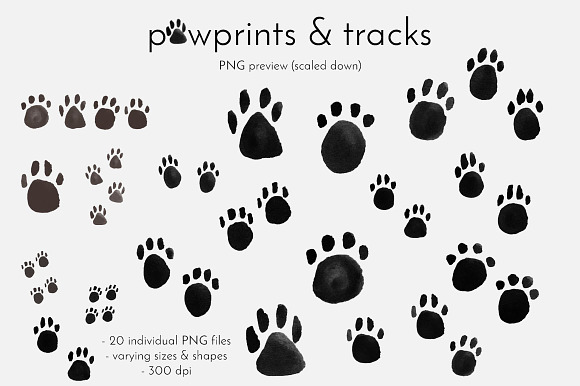 Pawprints & Animal Tracks Clip Art in Objects - product preview 1