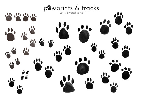 Pawprints & Animal Tracks Clip Art in Objects - product preview 2