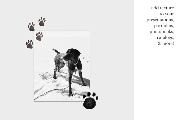 Pawprints & Animal Tracks Clip Art in Objects - product preview 3