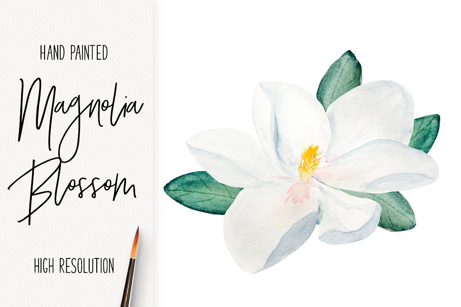 Watercolor Magnolia Blossom in Illustrations - product preview 8
