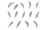 Vector set of feather.