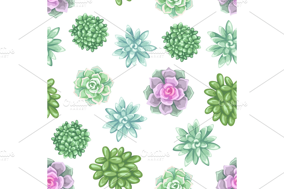 Seamless pattern with succulents. Echeveria, Jade Plant and Donkey Tails in Patterns - product preview 8