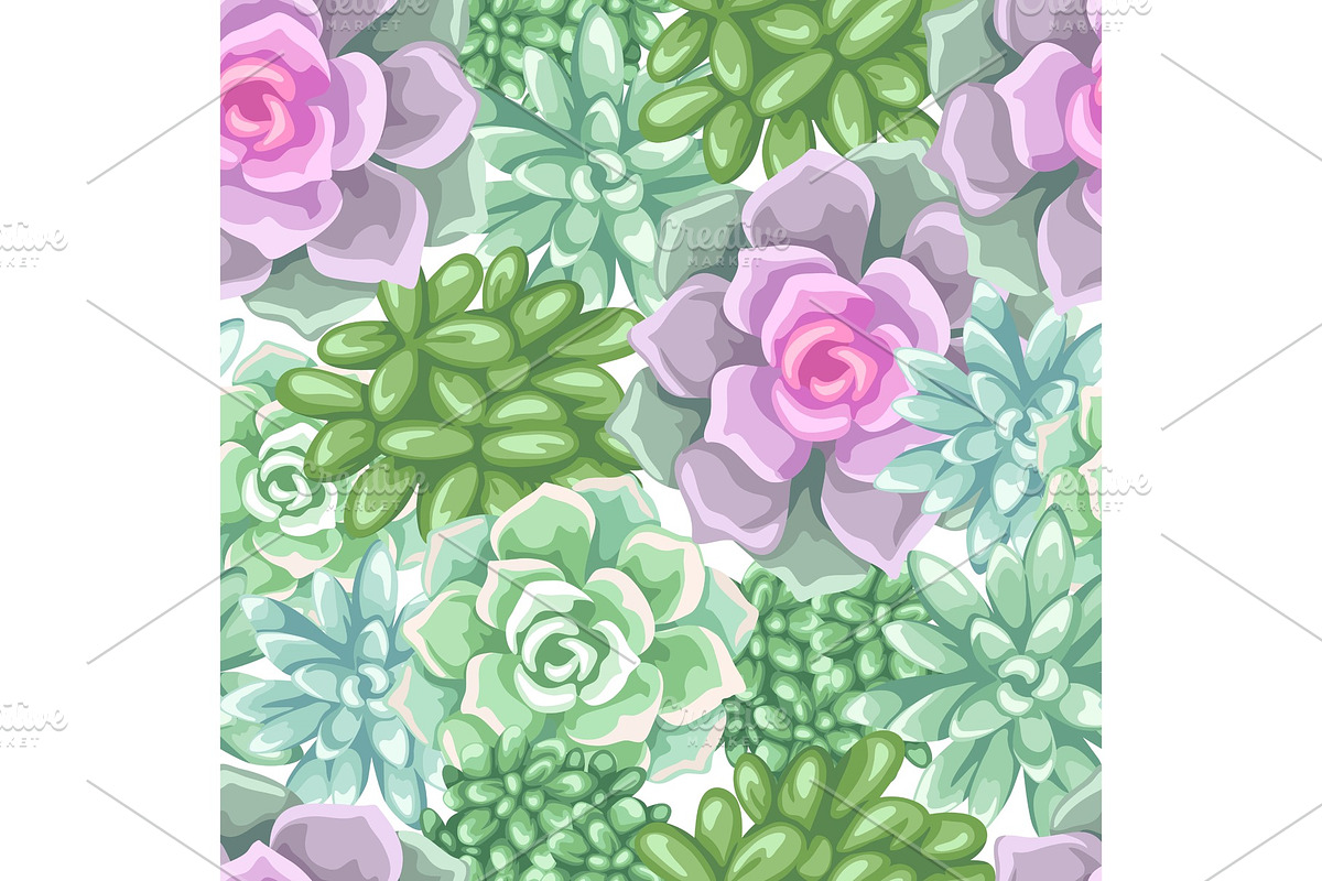 Seamless pattern with succulents. Echeveria, Jade Plant and Donkey Tails in Patterns - product preview 8