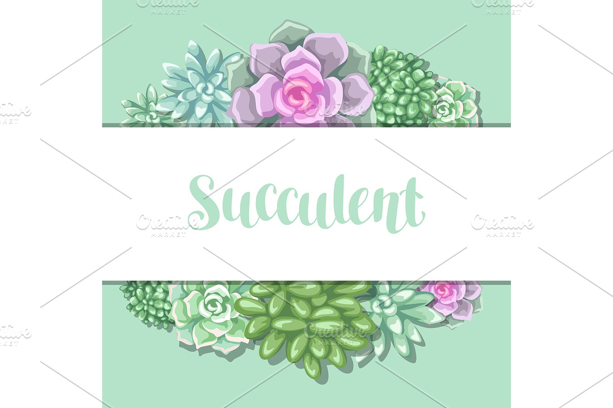 Card with succulents. Echeveria, Jade Plant and Donkey Tails in Illustrations - product preview 8