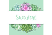 Card with succulents. Echeveria, Jade Plant and Donkey Tails