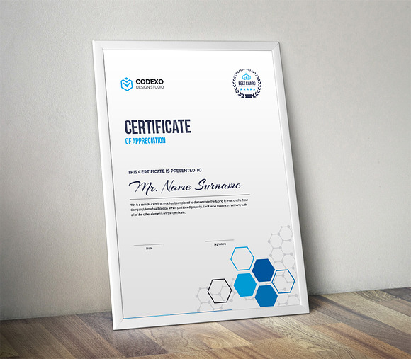 Certificate in Templates - product preview 1