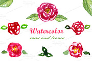 Watercolor roses and leaves,clip art