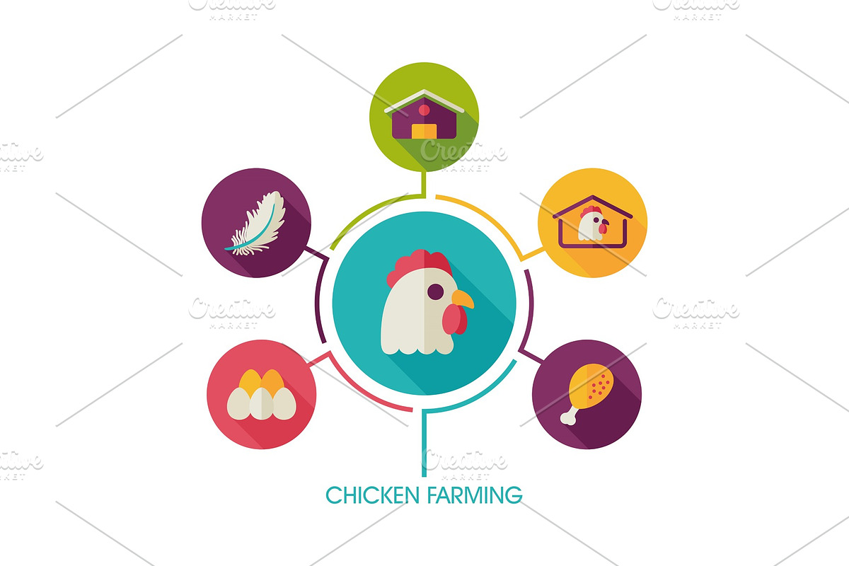 Chicken farming icon and agriculture infographics in Illustrations - product preview 8