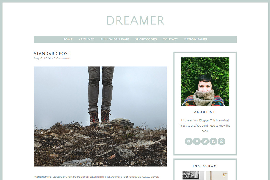 Dreamer - Premium Wordpress Theme in WordPress Blog Themes - product preview 8
