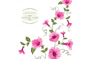 Bindweed flower for vintage card