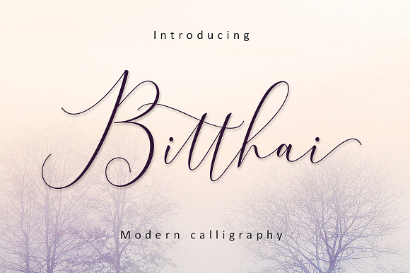 Bitthai Script in Script Fonts - product preview 1