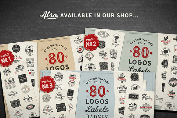 80 Modern Vintage Logos vol. 4 in Logo Templates - product preview 8