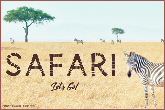 Safari Playful Display Font Typeface in Display Fonts - product preview 4
