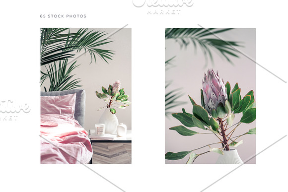 Animation & photo bundle. 01 in Instagram Templates - product preview 2