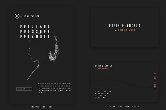 Prestage Font Family in Website Fonts - product preview 1