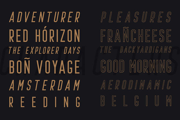 Prestage Font Family in Website Fonts - product preview 5
