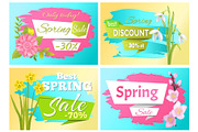 Set Spring Sale Advertisement Label Branch Flowers