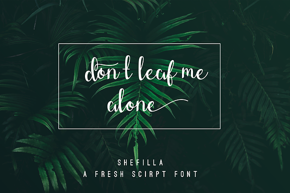 Shefilla Script Font in Script Fonts - product preview 1