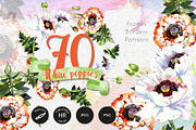 White poppies PNG watercolor set