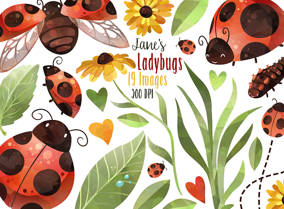 Watercolor Ladybug Clipart in Illustrations - product preview 1
