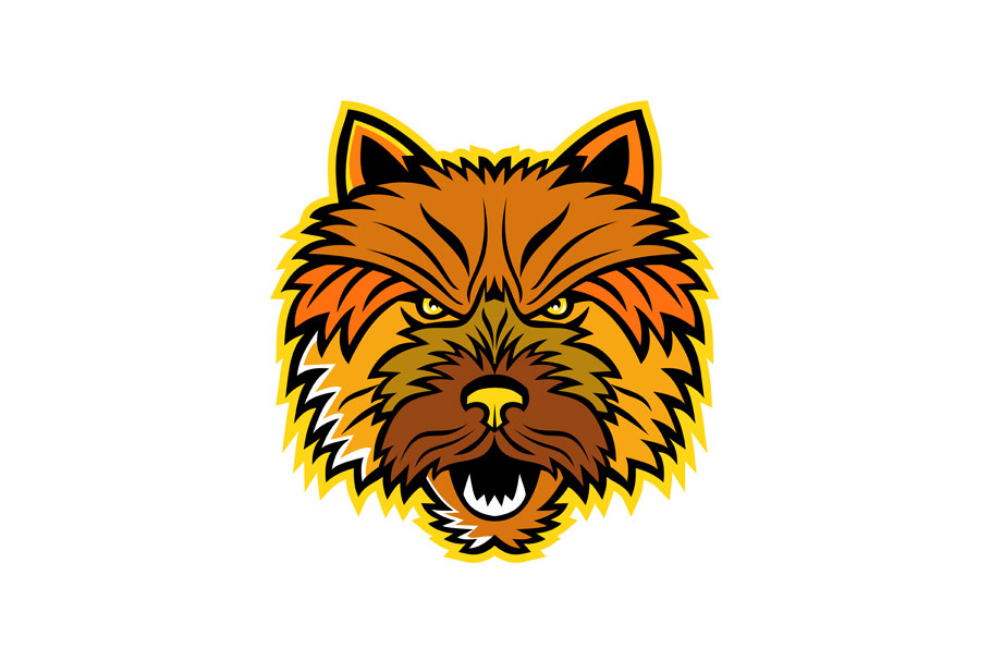 Norwich Terrier Mascot Front