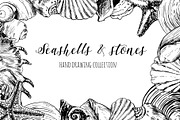 Seashells & stones set