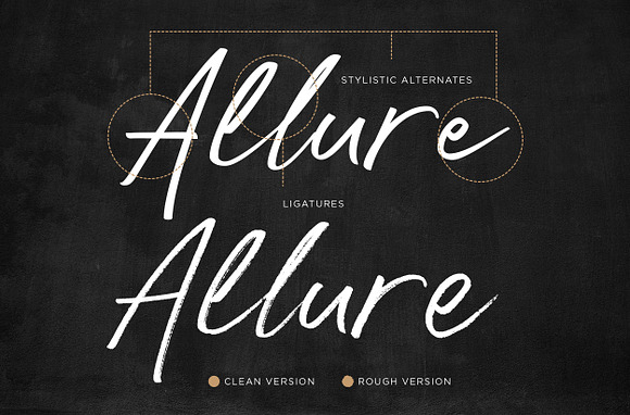 Hall Of Fun - Casual Elegant Font in Script Fonts - product preview 5