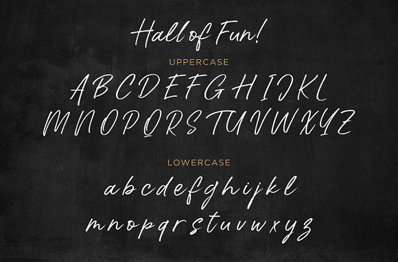 Hall Of Fun - Casual Elegant Font in Script Fonts - product preview 6