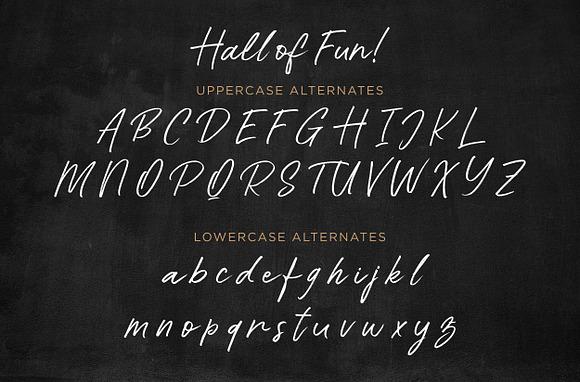 Hall Of Fun - Casual Elegant Font in Script Fonts - product preview 7