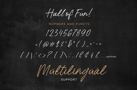 Hall Of Fun - Casual Elegant Font in Script Fonts - product preview 8